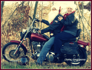 Mr and Mrs Claus Bike