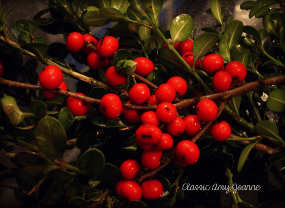 gift wrap 3