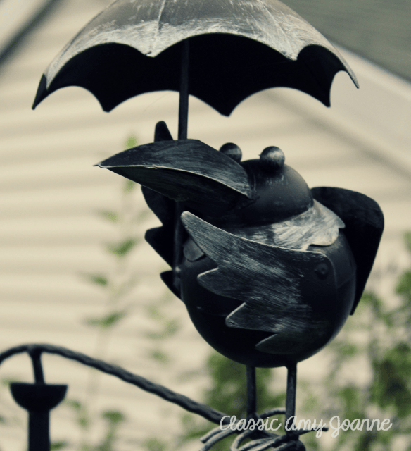 painted bird 2