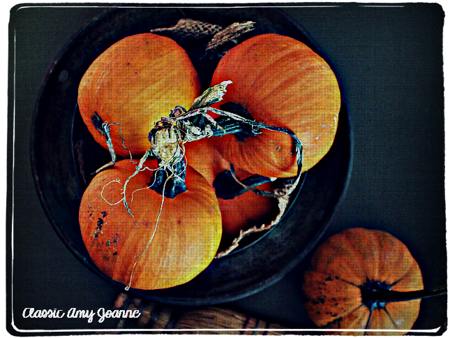 autumn-2016-10