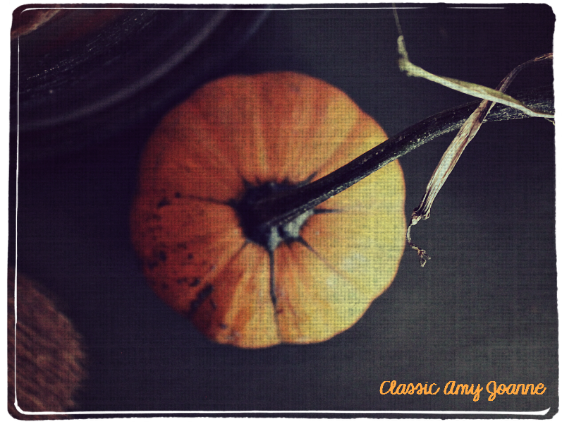 autumn-2016-11