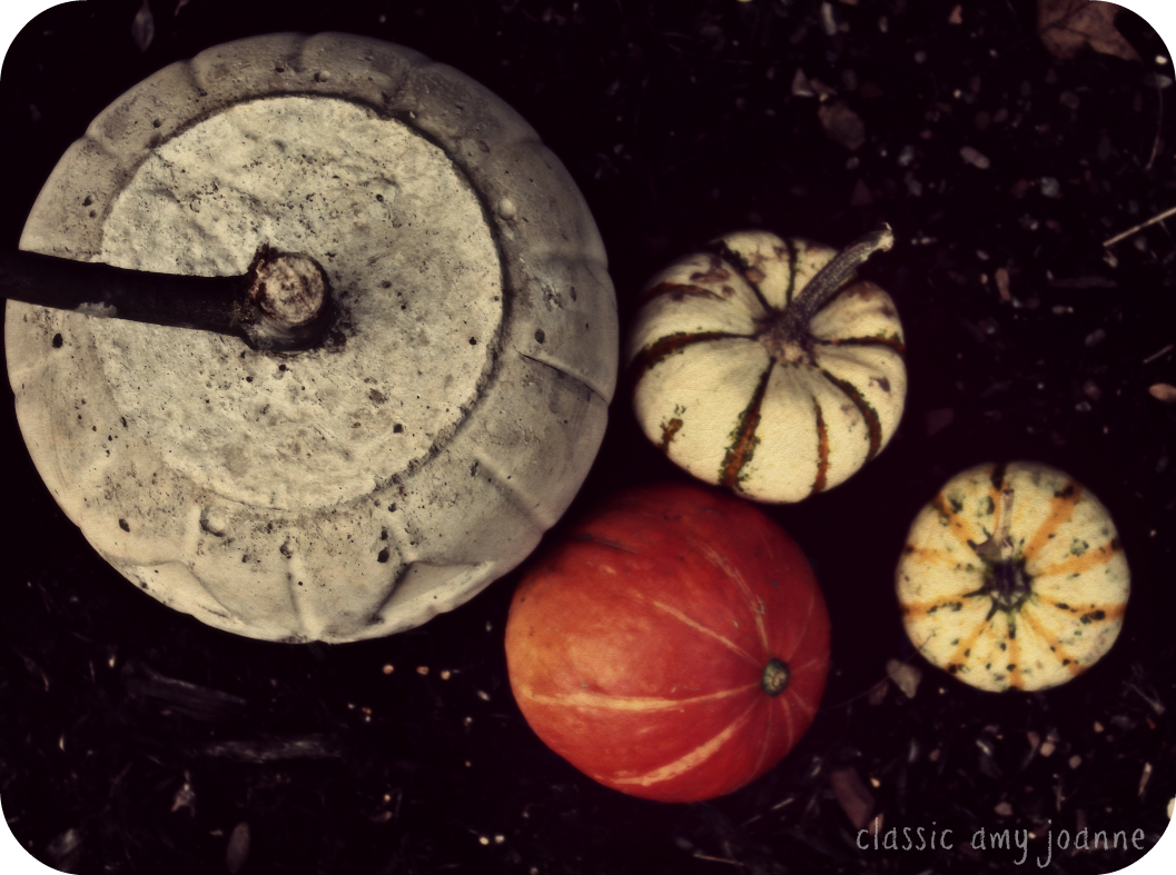 autumn 2018 4 - Copy